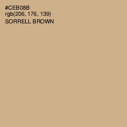 #CEB08B - Sorrell Brown Color Image